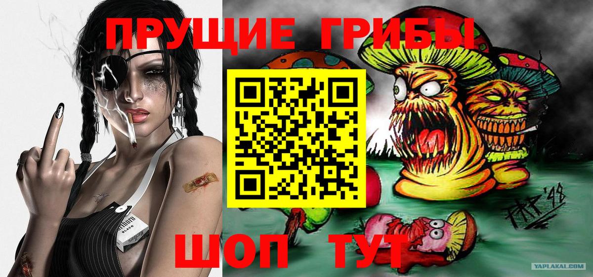 Псилоцибиновые грибы Psilocybine cubensis Острогожск