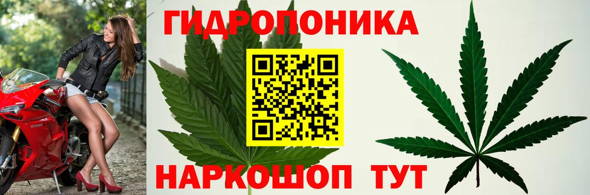Каннабис White Widow  Бошки марихуана марихуана  Острогожск  Вход с VPN 